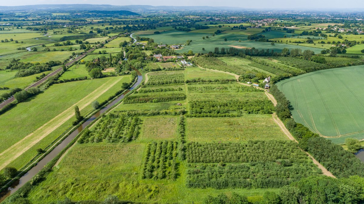 4 bedroom House, Charlton Road, Creech St. Michael, TA3 - Sold, Image 18