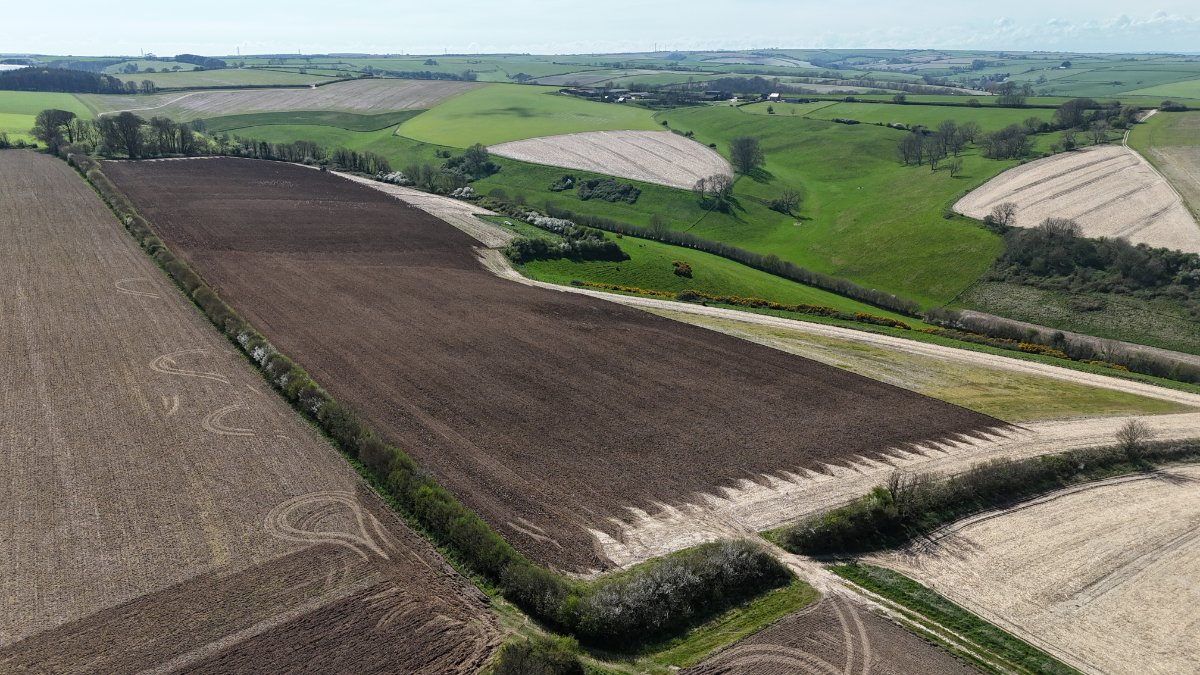 86.11  Land, Lot 2: Land At Cruxton Manor Farm, Cruxton, DT2 - Available