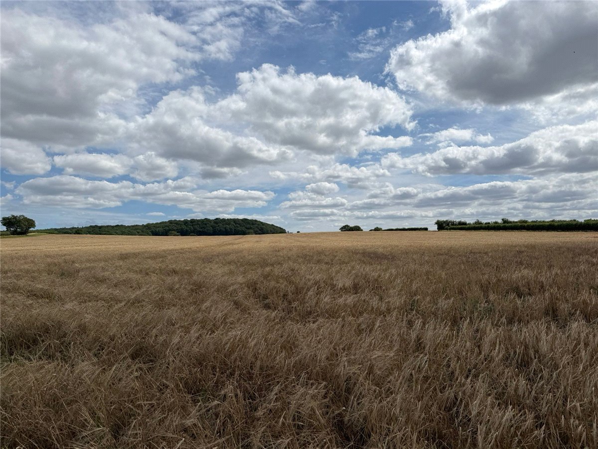   Land, Alcester Road, Worcester, WR7 - Available, Image 2