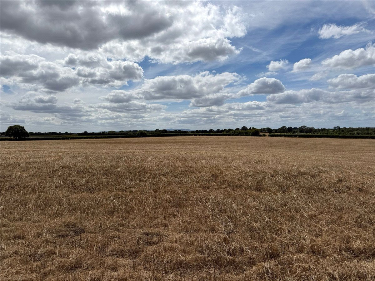   Land, Alcester Road, Worcester, WR7 - Available, Image 1