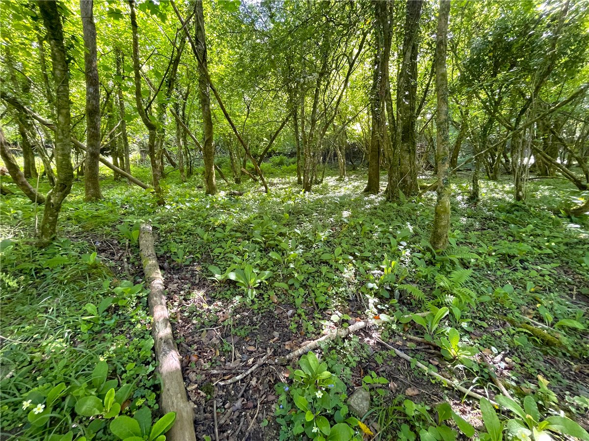 4.52  Land, Clerkenwater, Bodmin, PL30 - Sold, Image 11