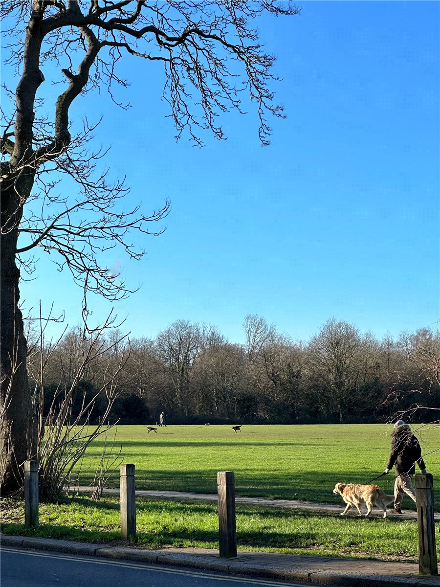 3 bedroom Flat, London Square Wandsworth Common, Springfield Drive, SW17 - Available, Image 1