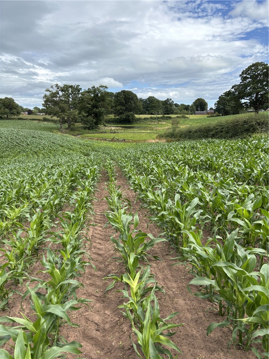 0 bedroom Residential, Arable Land At Gypsy Corner, Whitchurch, SY13 - Available, Image 1