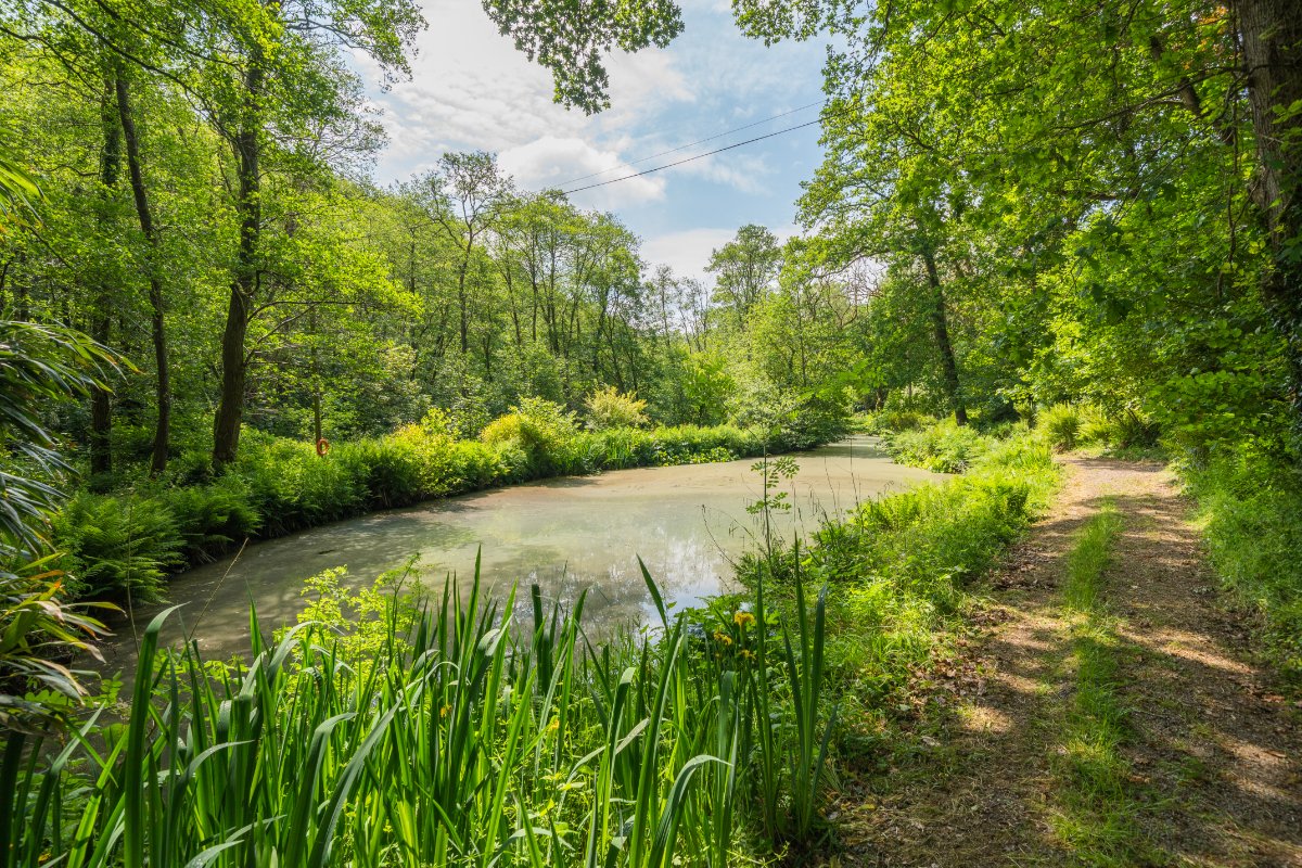 17.7  Country Estate, Muddiford, Barnstaple, EX31 - Available, Image 20