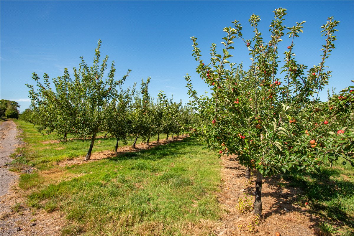 41.36  Land, Shepton Mallett, Somerset, BA4 - Sold, Image 5