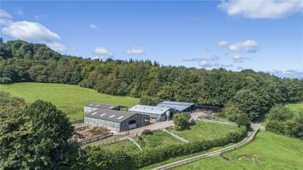 227  Farm, Buckland St. Mary, Chard, TA20 - Available, Image 15