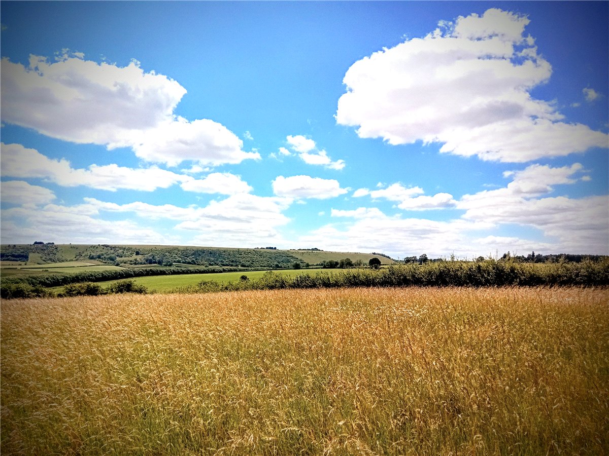   Development Land, Ecchinswell Road, Kingsclere, RG20 - Sold STC, Image 11