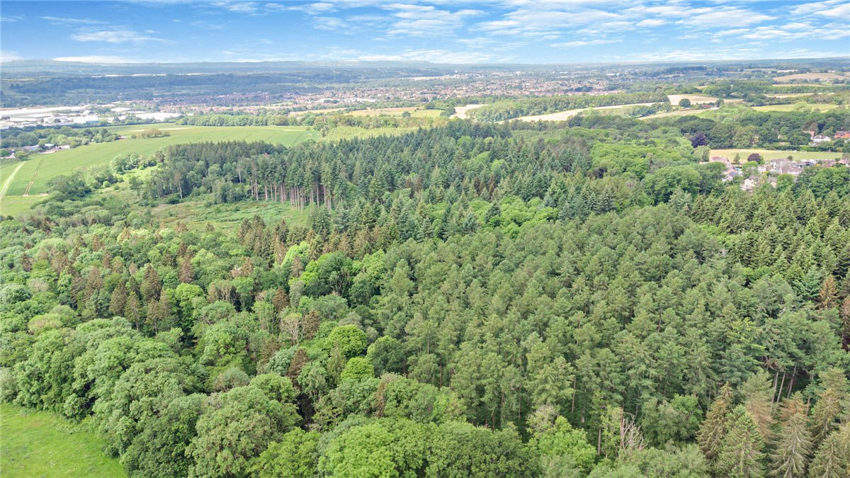 77.2  Land, Broad Lane, Upper Bucklebury, RG7 - Available, Image 5