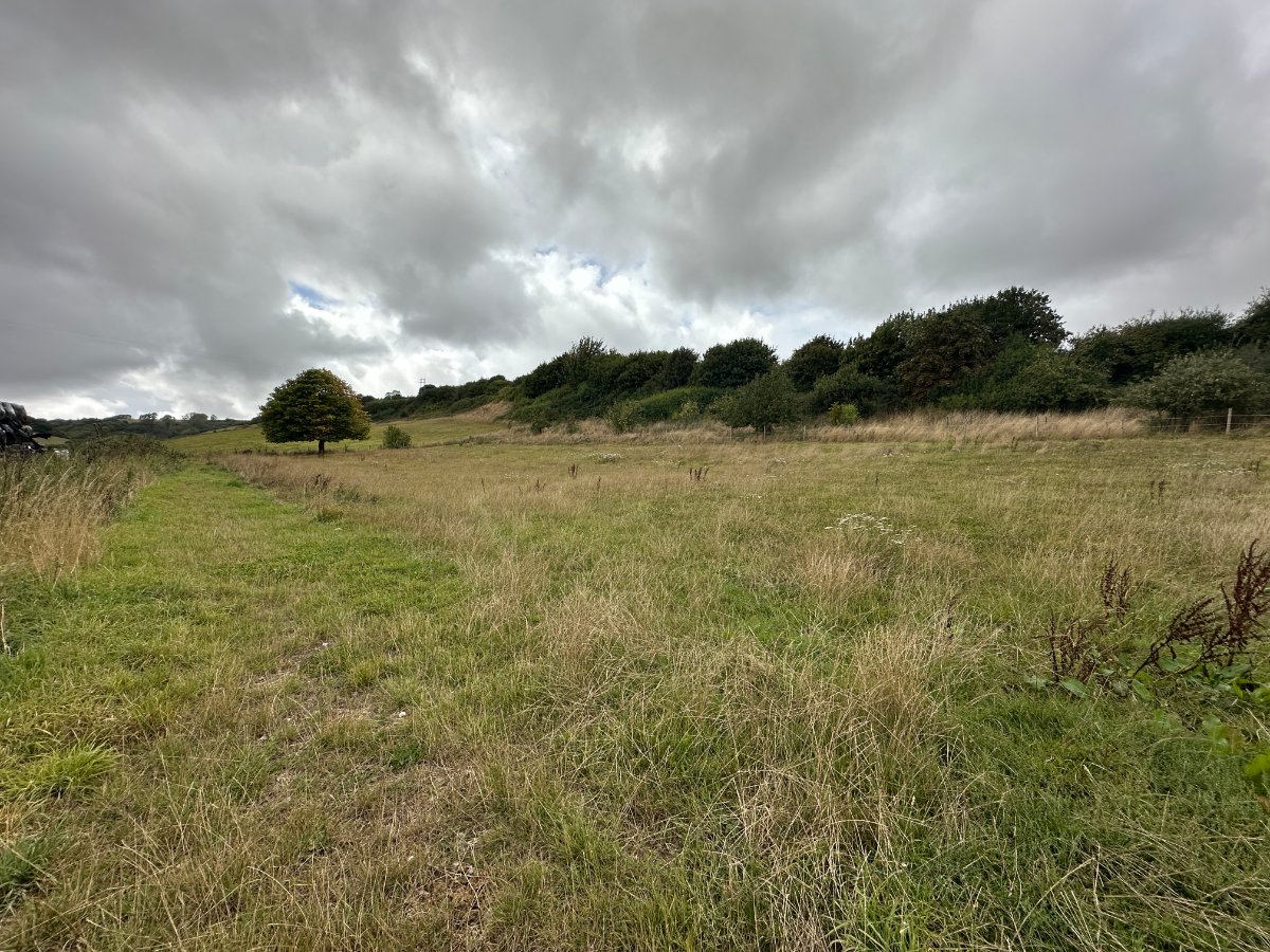 0 bedroom Residential, Lot 7: Cruxton Manor Farm, Cruxton, DT2 - Available, Image 1