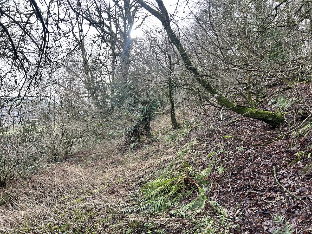 6.19  Land, Woodland At Mitcheldean, Mitcheldean, GL17 - Sold