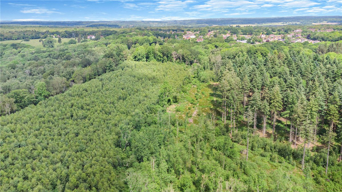 77.2  Land, Broad Lane, Upper Bucklebury, RG7 - Available, Image 10