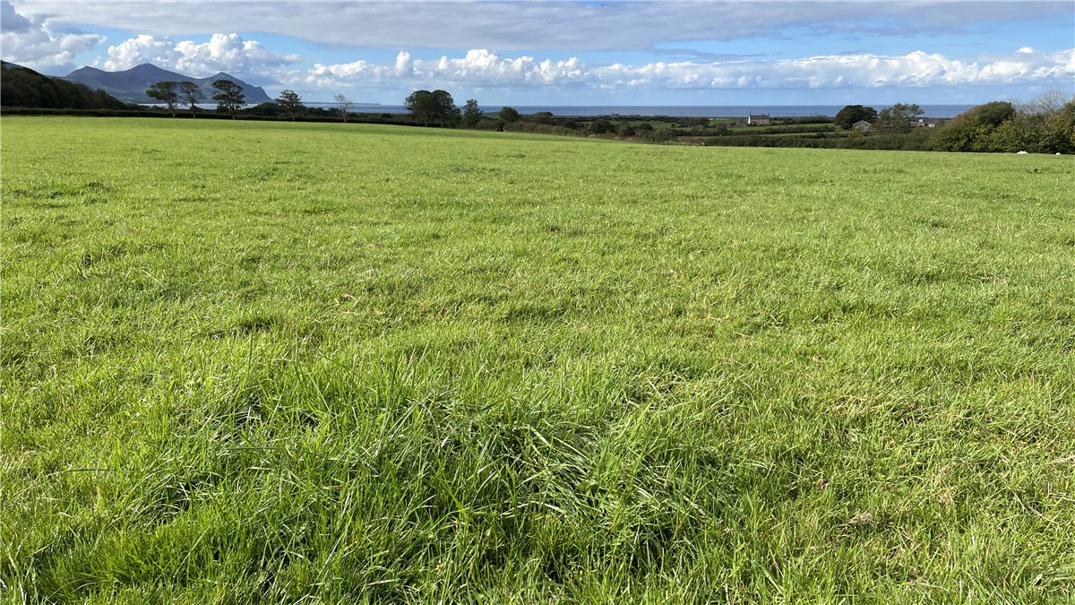 180  Land, Llandwrog, Caernarfon, LL54 - Available, Image 17