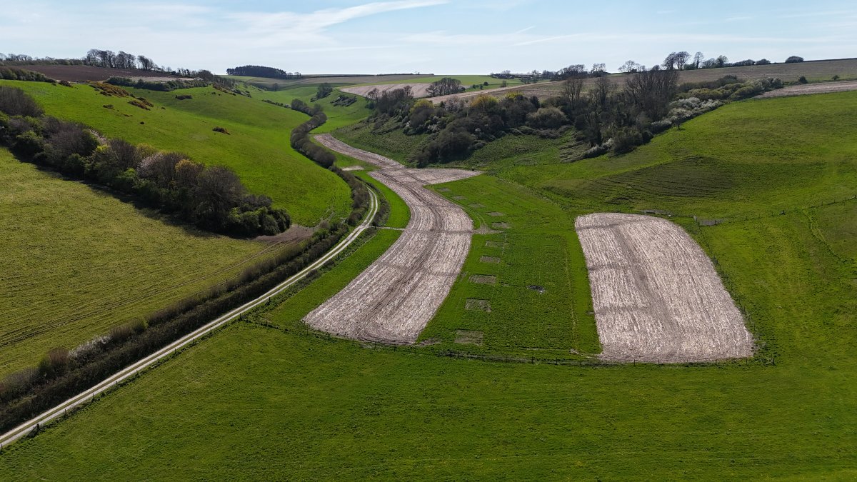 74.31  Land, Lot 4: Land At Cruxton Manor Farm, Cruxton, DT2 - Available, Image 3