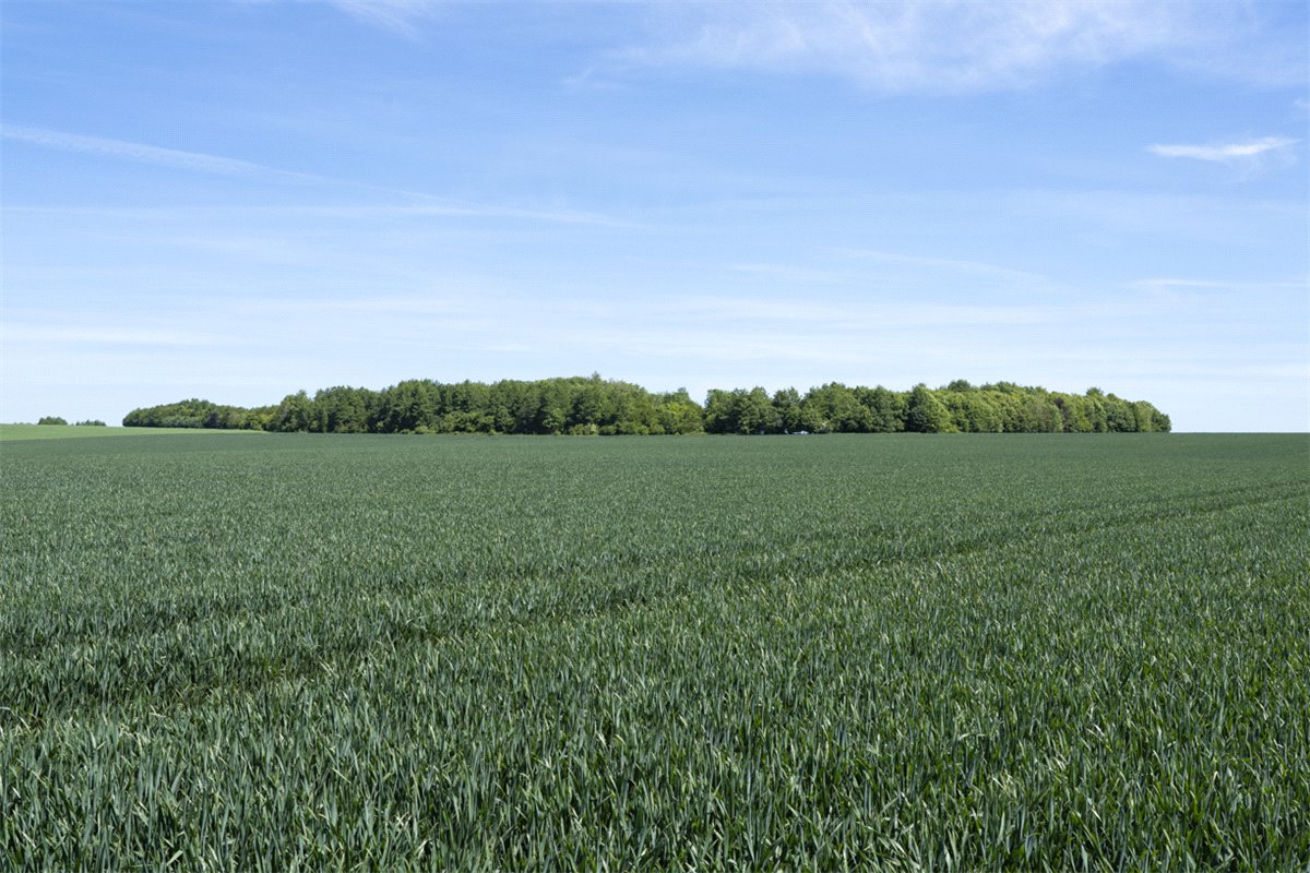 482.71  Farm, Collingbourne Kingston, Marlborough, SN8 - Sold, Image 28