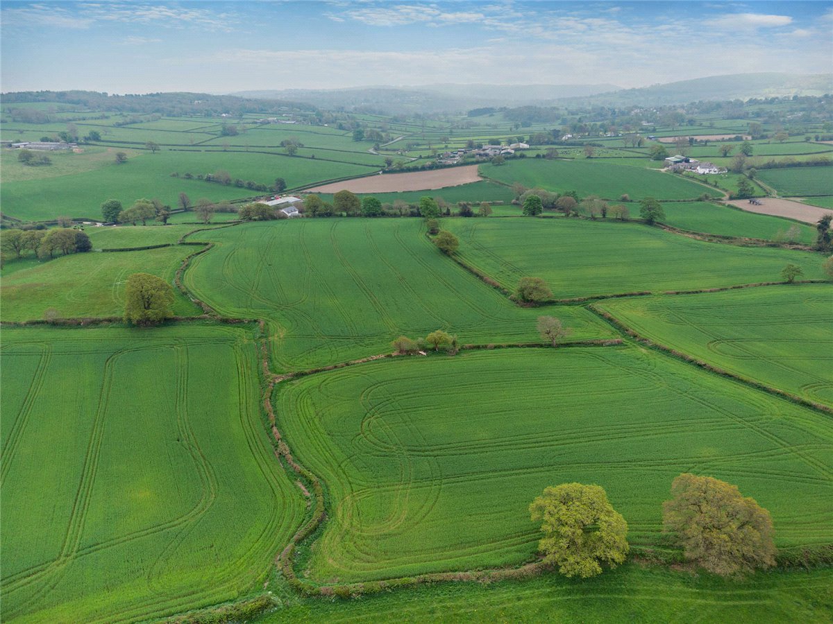 39.5  Land, Star Crossing Road, Cilcain, CH7 - Sold, Image 4