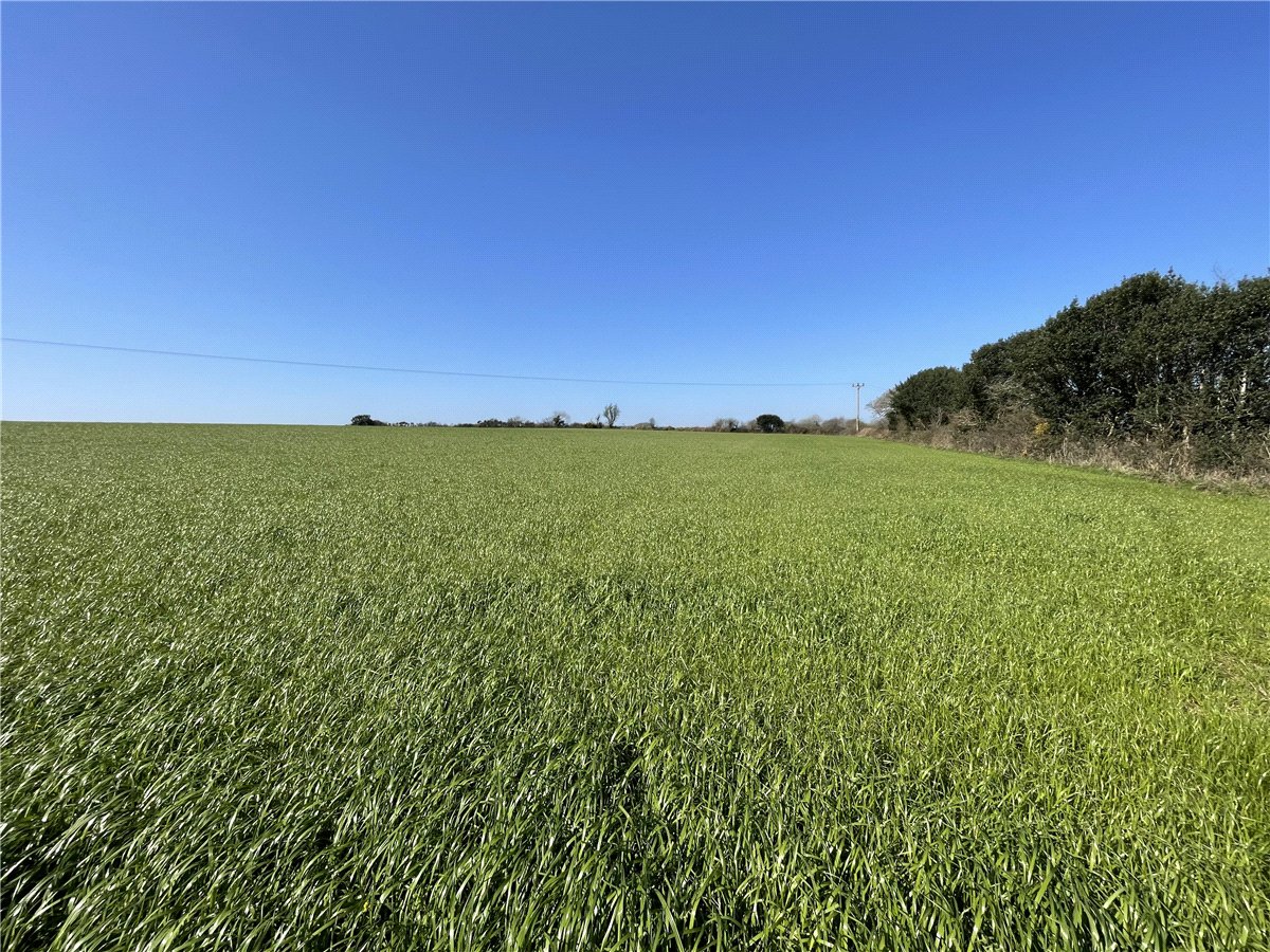 54.26  Land, London Apprentice, St. Austell, PL26 - Available, Image 3