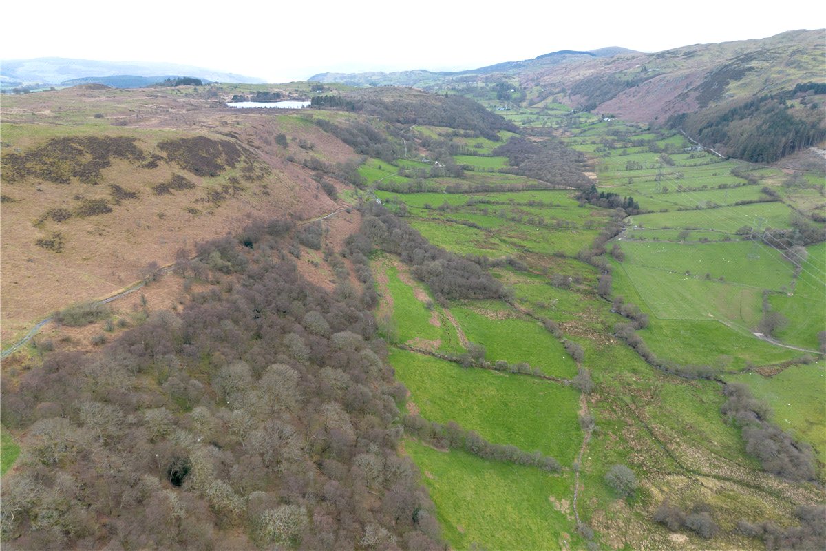 255  Land, Land At Cwm Main and Cefn Caer Euni, Llandderfel, LL23 - Available