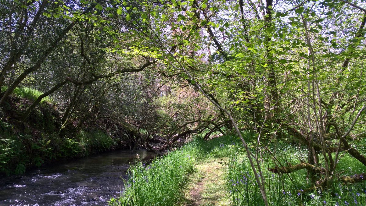 8 bedroom Residential, Buckland Brewer, Bideford, EX39 - Available, Image 17