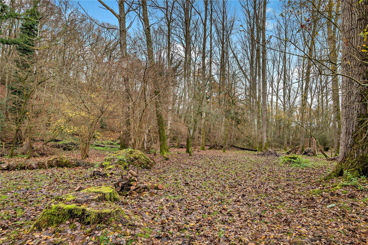 5 bedroom House, Crookham Common, Thatcham, RG19 - Available, Image 19