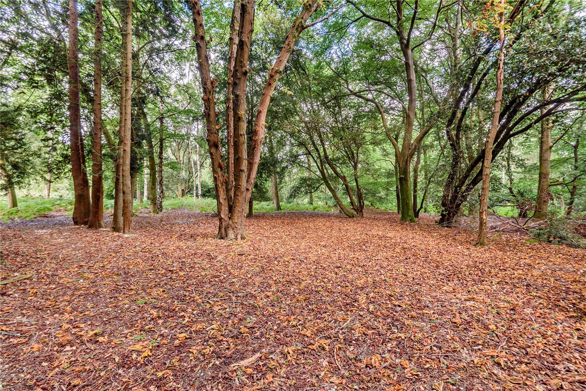 7 bedroom House, Burys Bank Road, Greenham, RG19 - Sold STC, Image 7