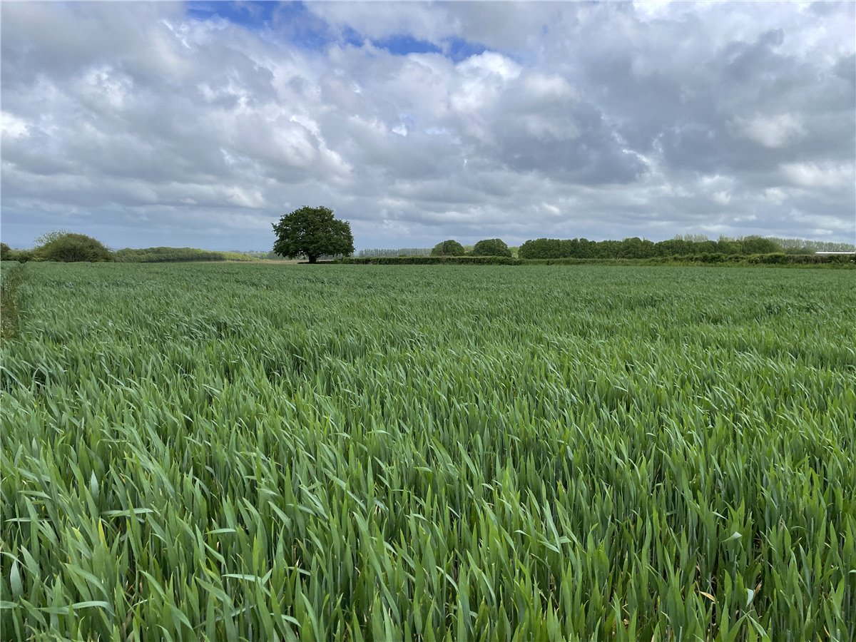 5.96  Land, Land At Seavington St. Michael, Somerset, TA13 - Sold, Image 1