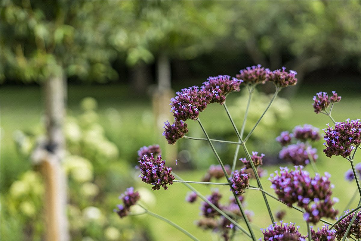 4 bedroom House, Shepherds Close, Weston-on-the-Green, OX25 - Sold STC, Image 44