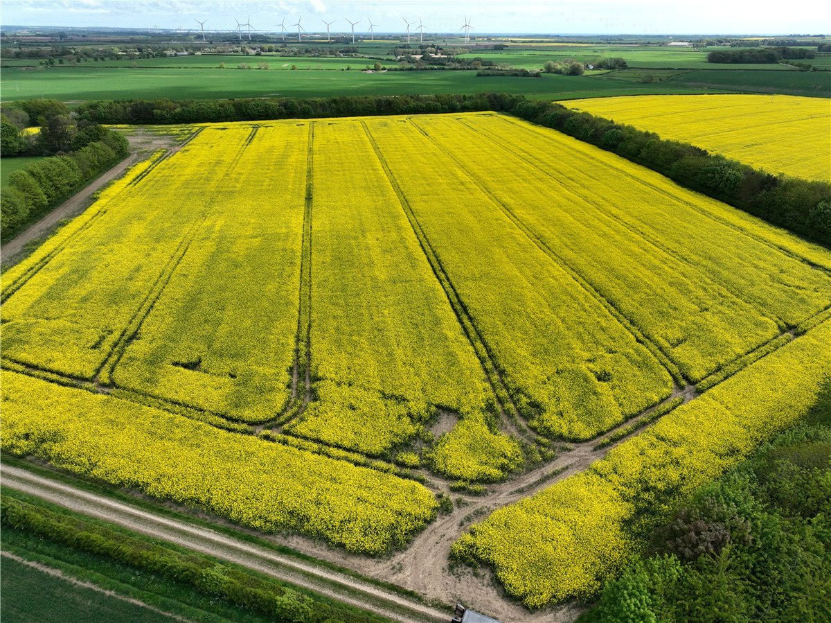   Land, Lot 2 - Land At Beeford and Foston, Driffield, YO25 - Sold STC, Image 5