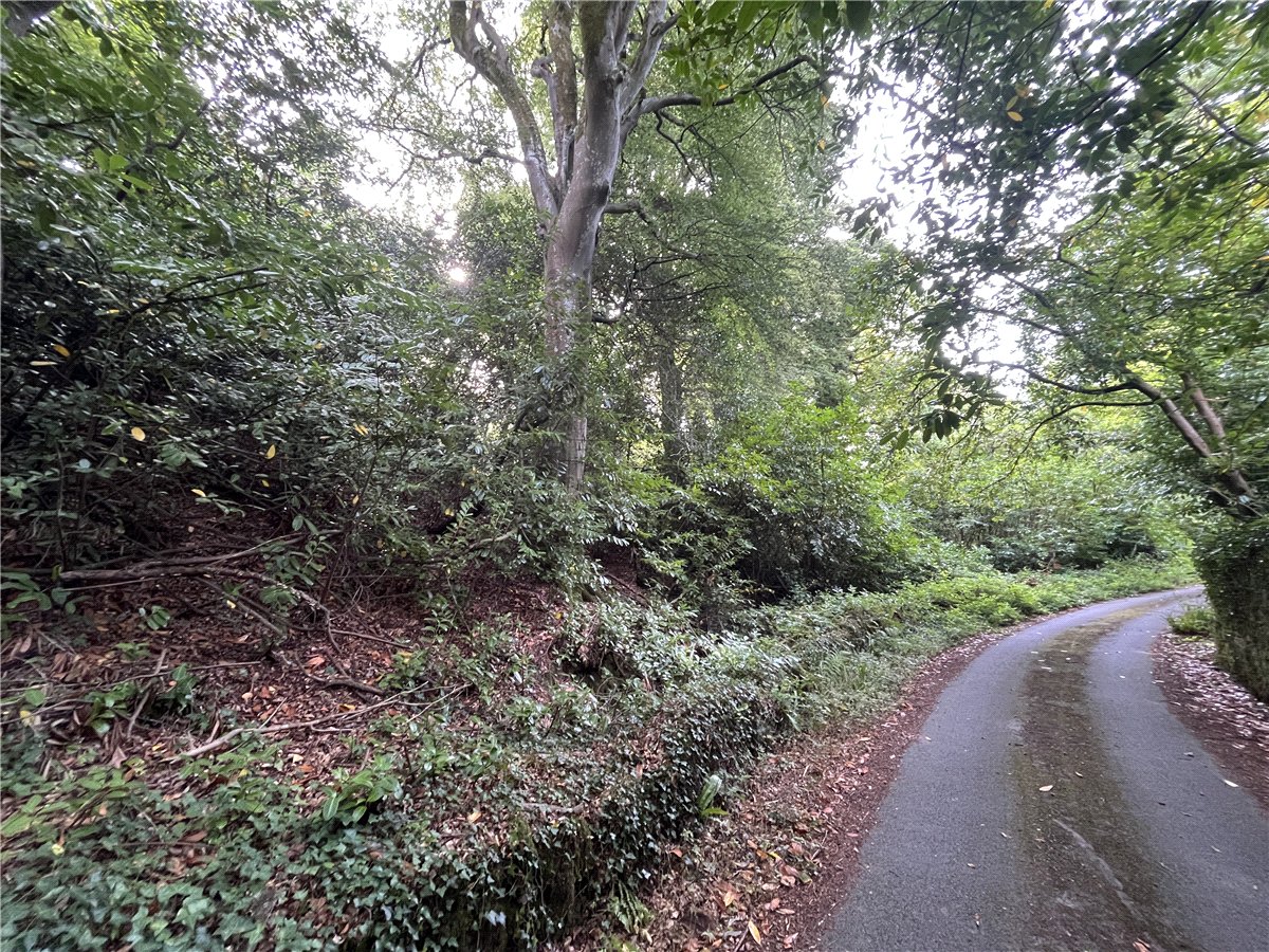 36.69  Land, Boduan, Pwllheli, LL53 - Available, Image 4