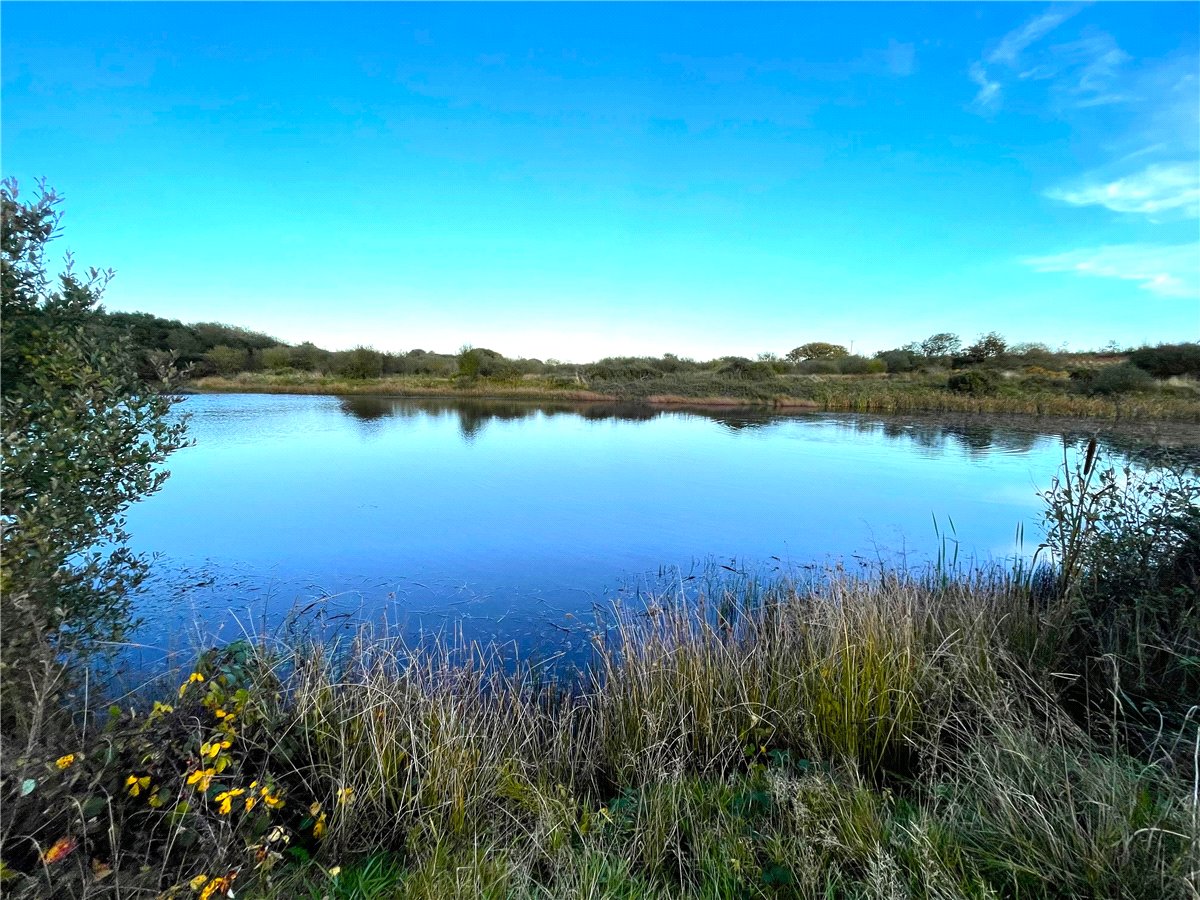 16.98  Land, Trewint, Altarnun, PL15 - Sold, Image 13