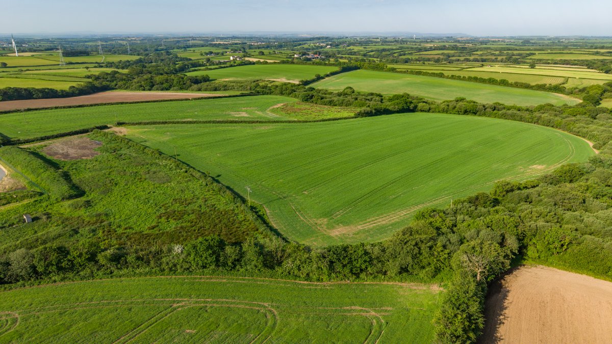 219.96  Farm, Holsworthy Beacon, Holsworthy, EX22 - Available, Image 11