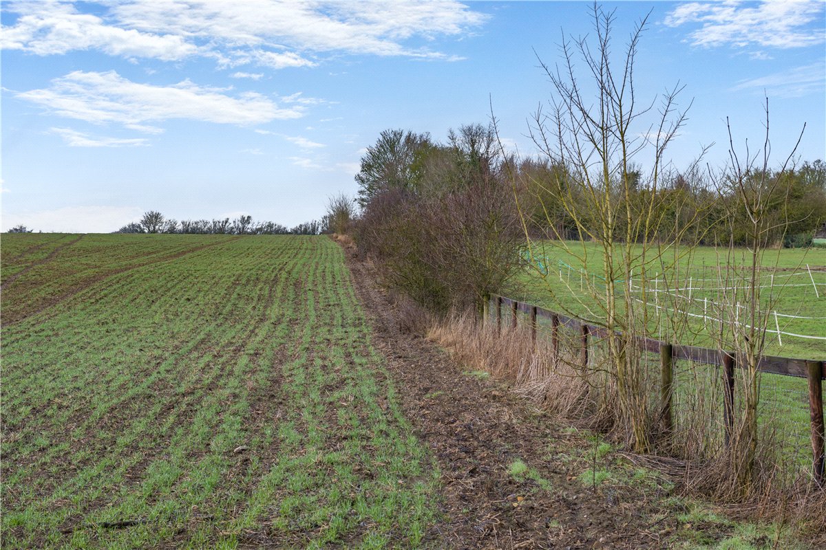   Land, Land At Wixoe, Stoke By Clare, CO10 - Available, Image 5
