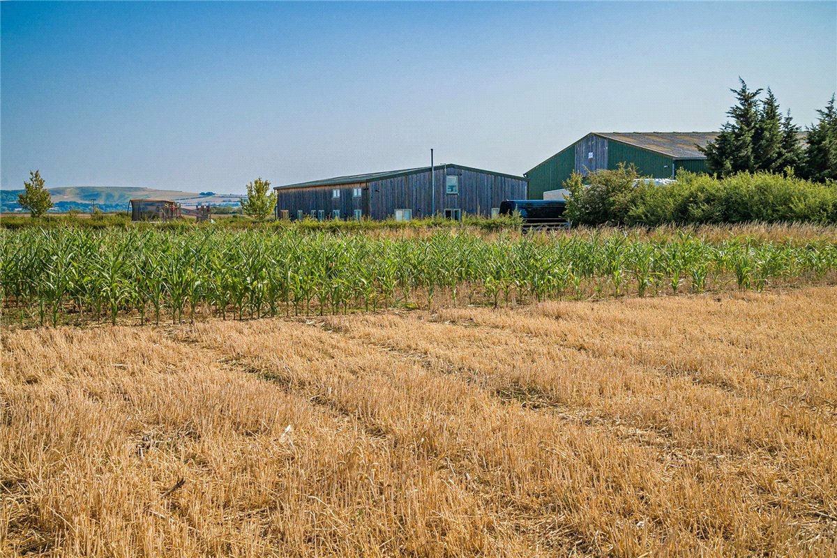 0 bedroom Barn Conversion, Kings Lane, Longcot, SN7 - Available, Image 3