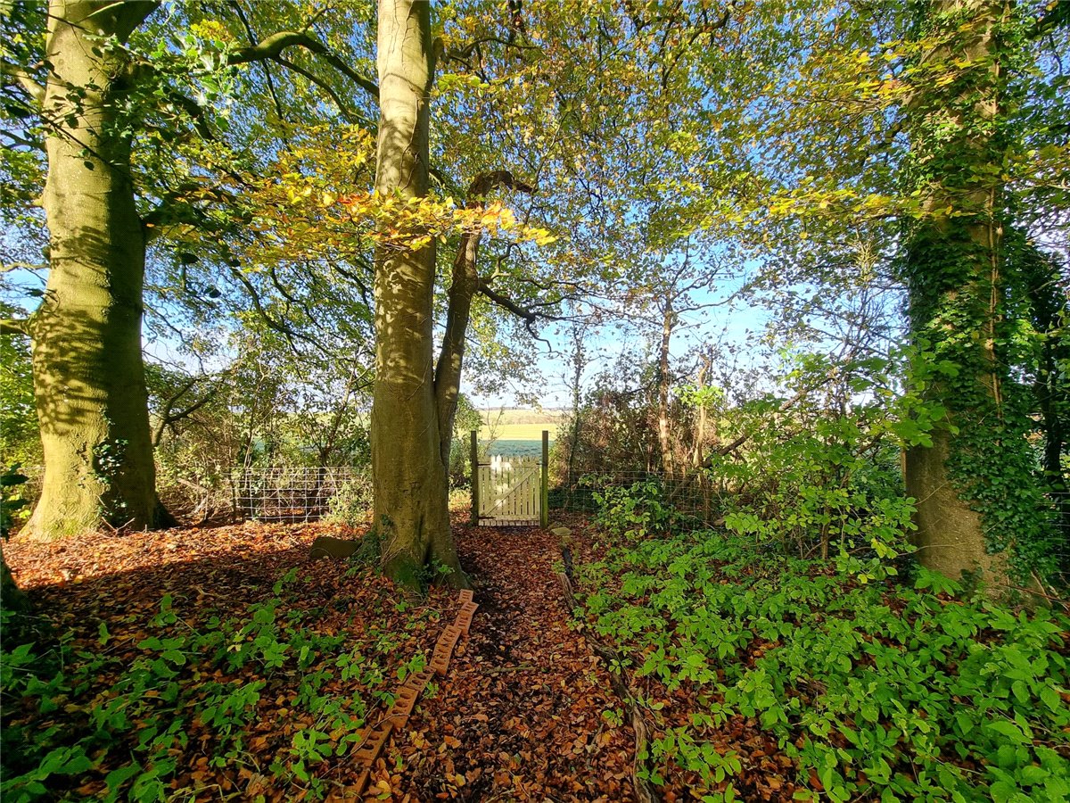 3 bedroom Bungalow, Everleigh, Marlborough, SN8 - , Image 12