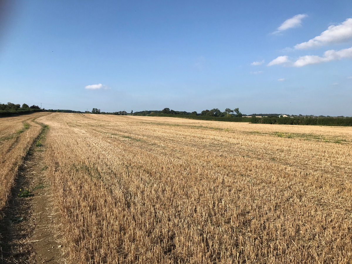 61.18  Land, Taunton, Somerset, TA3 - Sold