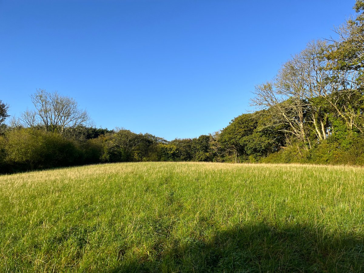 70.72  Land, Zelah, Truro, TR4 - Sold, Image 12