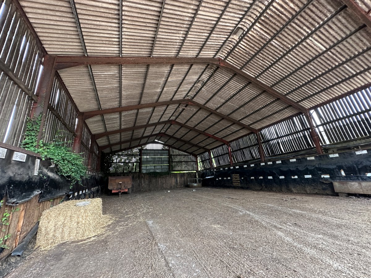 0 bedroom Residential, Lot 8: Cruxton Manor Farm, Cruxton, DT2 - Available, Image 4