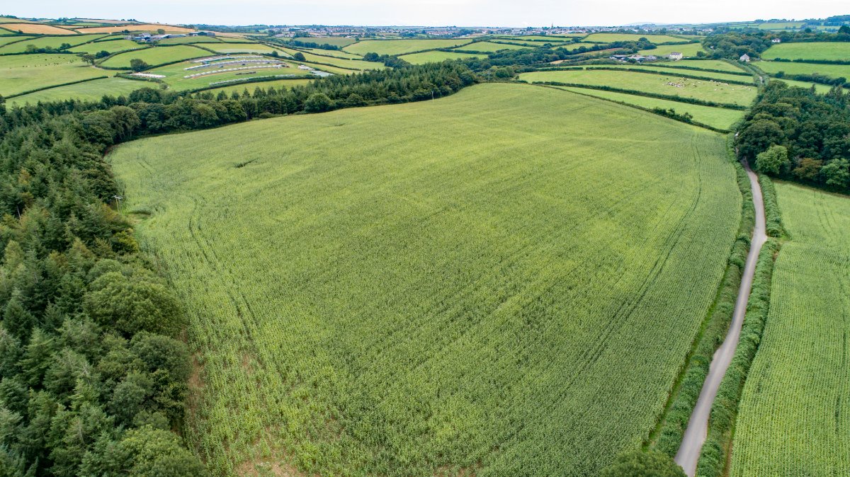 21.64  Land, Lot 3: Land To South Of Chope’s Bridge, Weare Giffard, EX39 - Sold