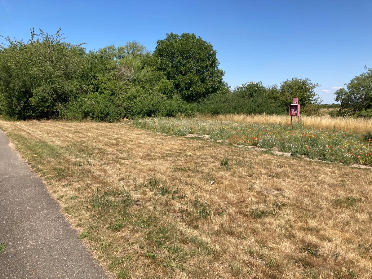   Land, Rushey Lock, Buckland Marsh, SN7 - Available, Image 4