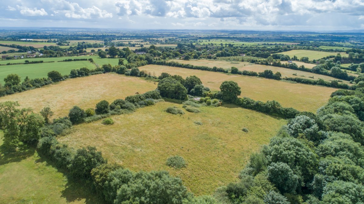 9.81  Land, Greenway Farm, Thurloxton, TA2 - Available, Image 4