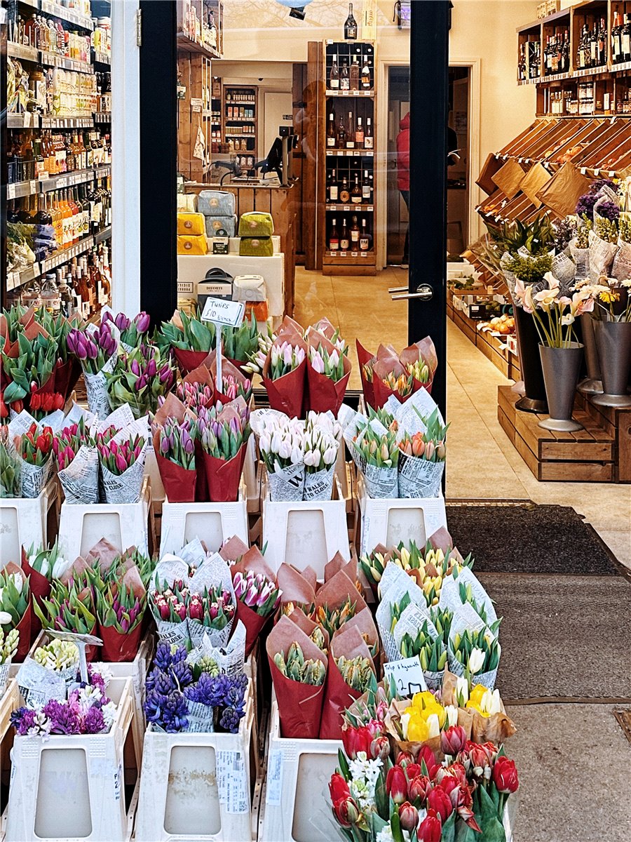 5 bedroom House, London Square Wandsworth Common, Springfield Drive, SW17 - Available, Image 3