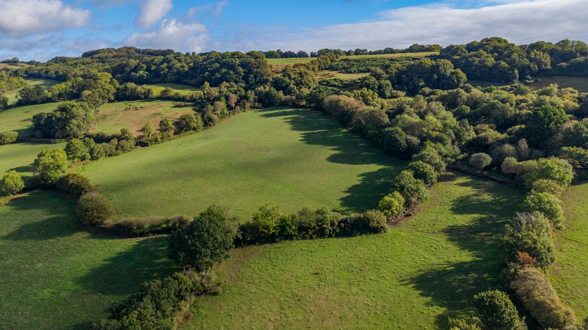 127.45  Farm, Northleigh, Colyton, EX24 - Available, Image 34