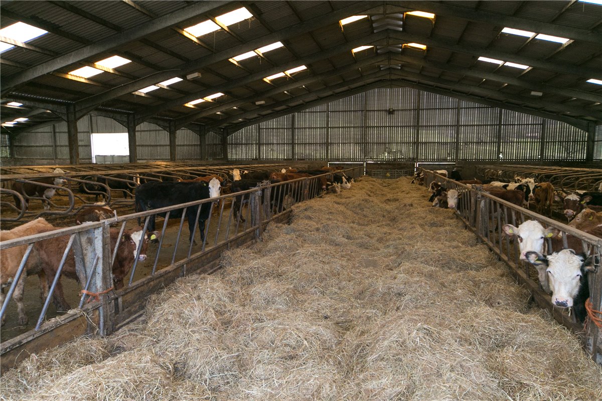 94.08  Farm, Tre'r Ddol, Machynlleth, SY20 - Sold STC, Image 9