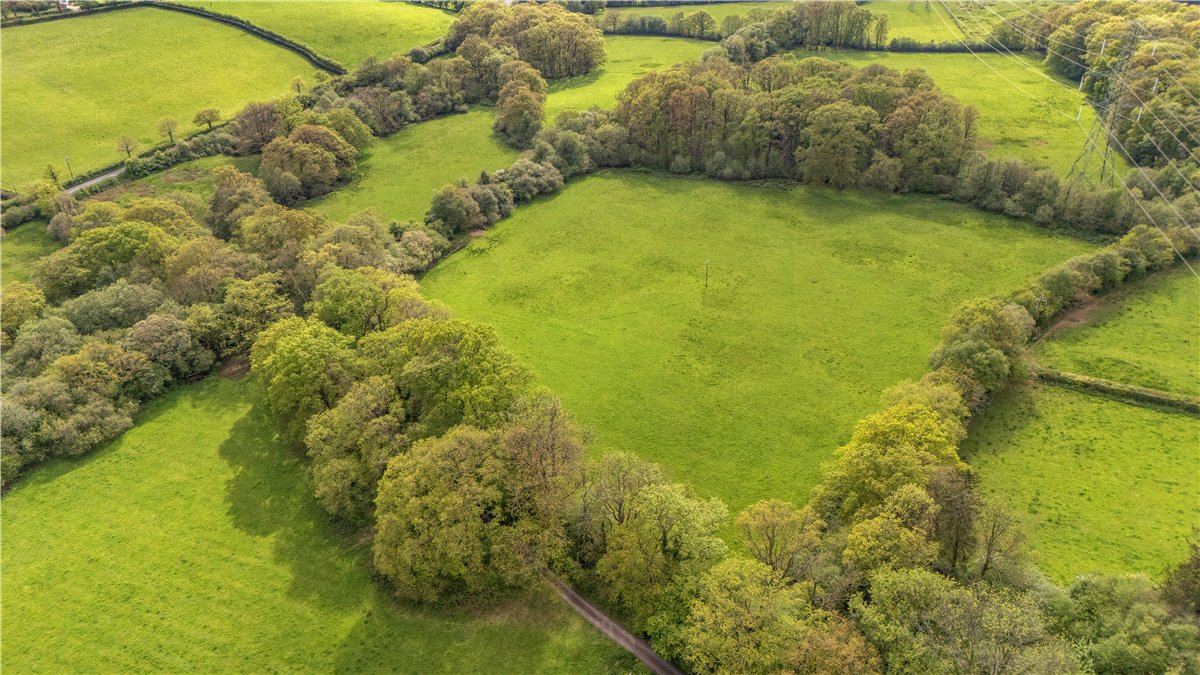 29.81  Land, Shillingford, Tiverton, EX16 - Available, Image 6