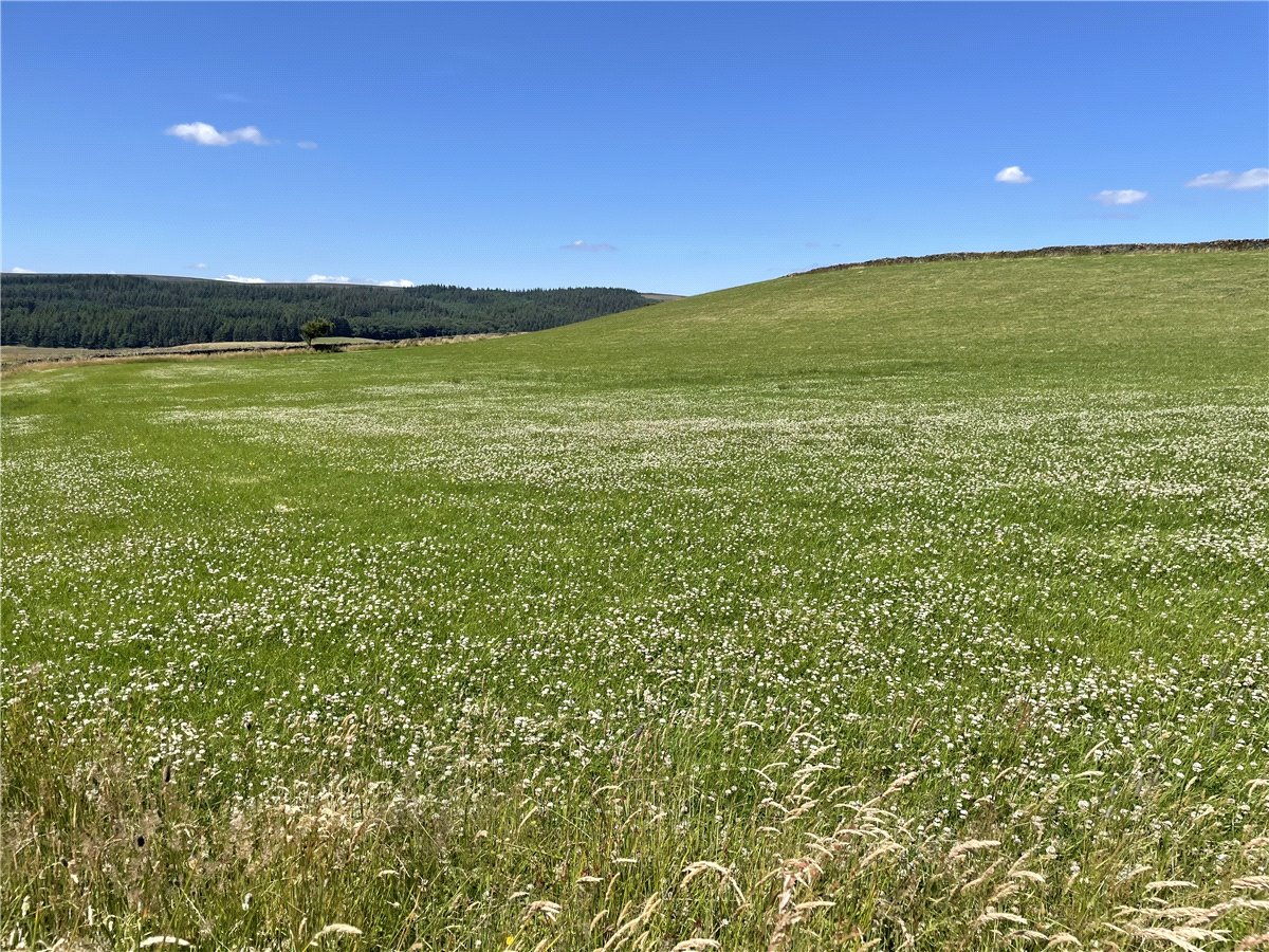 21  Land, Ughill, Bradfield, S6 - Sold, Image 5