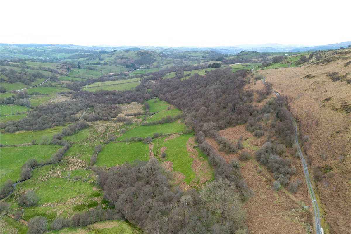 255  Land, Land At Cwm Main and Cefn Caer Euni, Llandderfel, LL23 - Available, Image 1