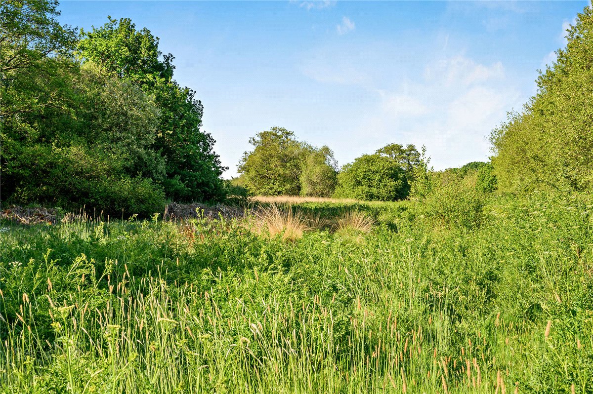 13.75  Land, Ashley Heath, Ringwood, BH24 - Sold STC, Image 3