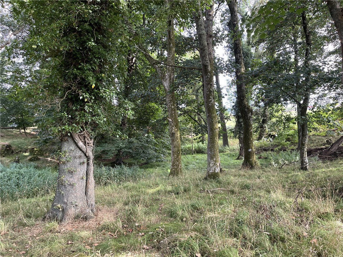 36.69  Land, Boduan, Pwllheli, LL53 - Available, Image 2