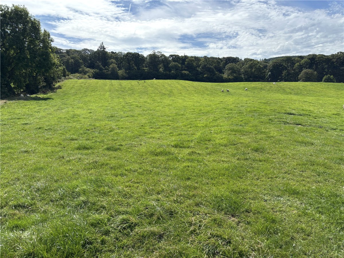   Land, Lot 2 - Prospect Farm, Cockermouth, CA13 - Available, Image 4