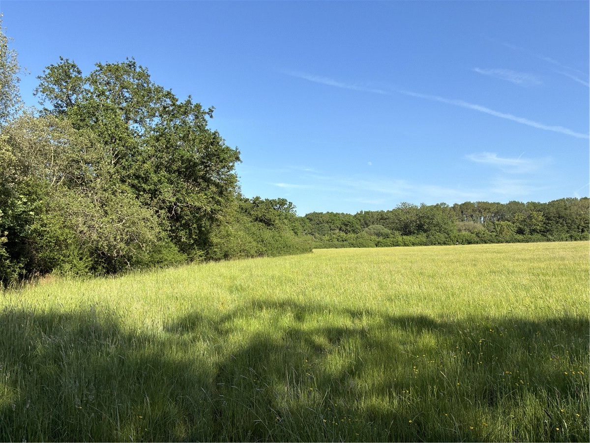 50  Land, Land At Dunmore Farm, Broad Street, GU3 - Available