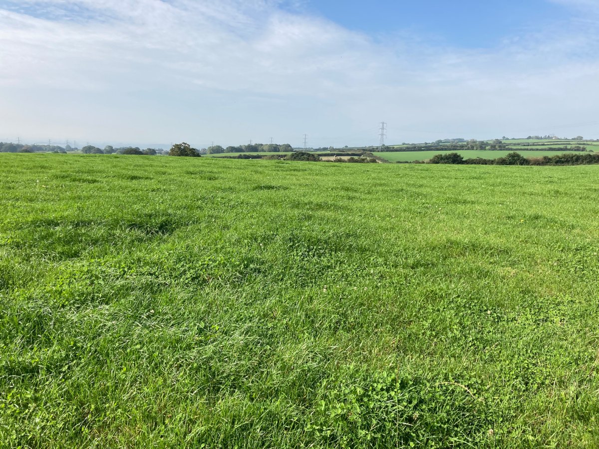 11.98  Land, Land At Hill Farm, West Monkton, TA2 - Sold, Image 3